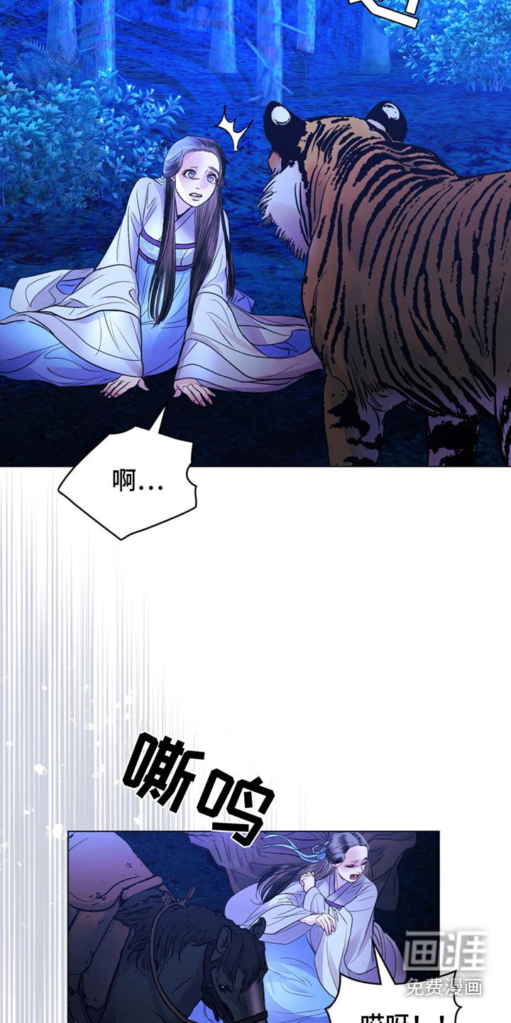第26章：老虎