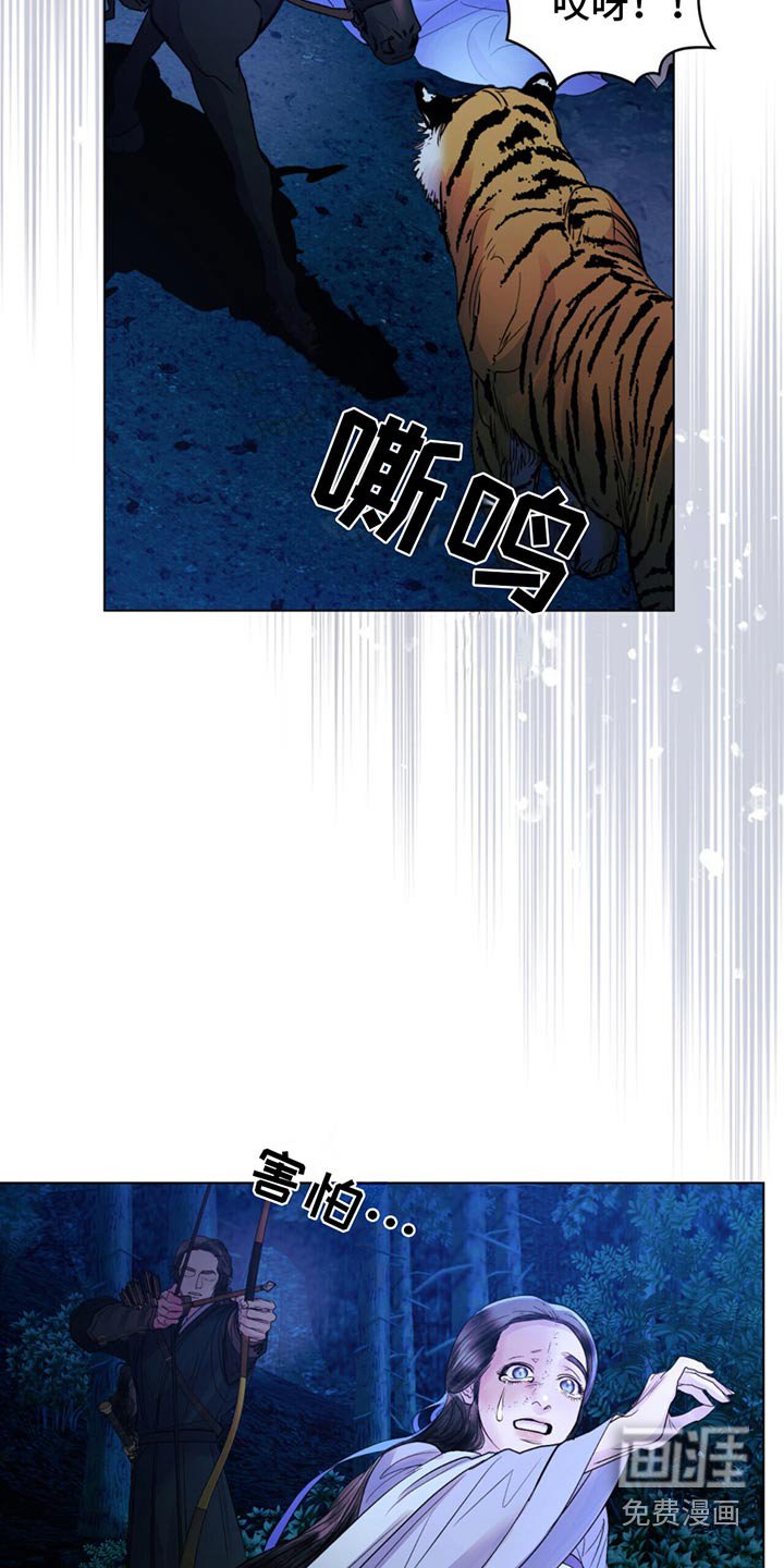 第26章：老虎