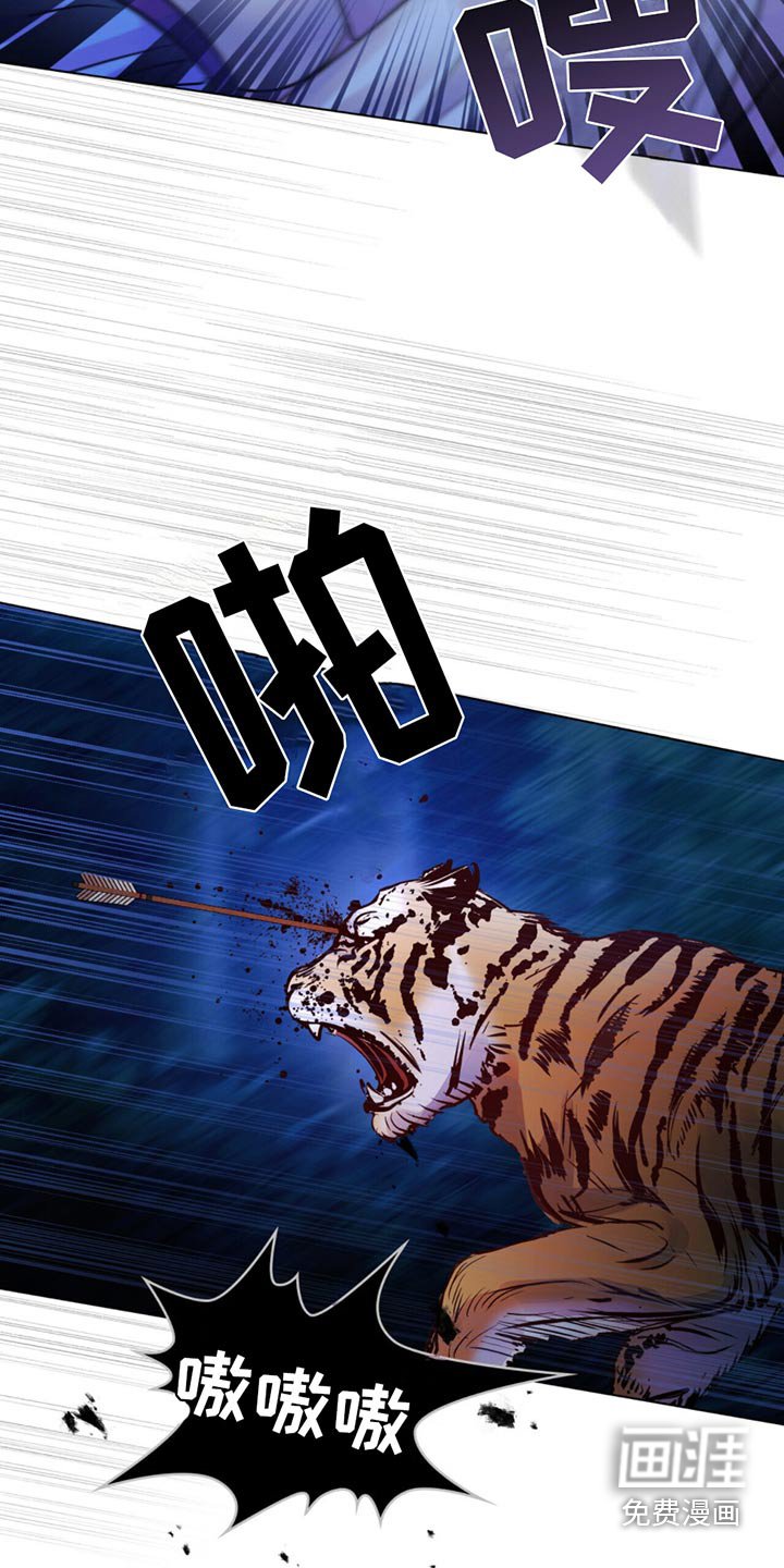 第26章：老虎