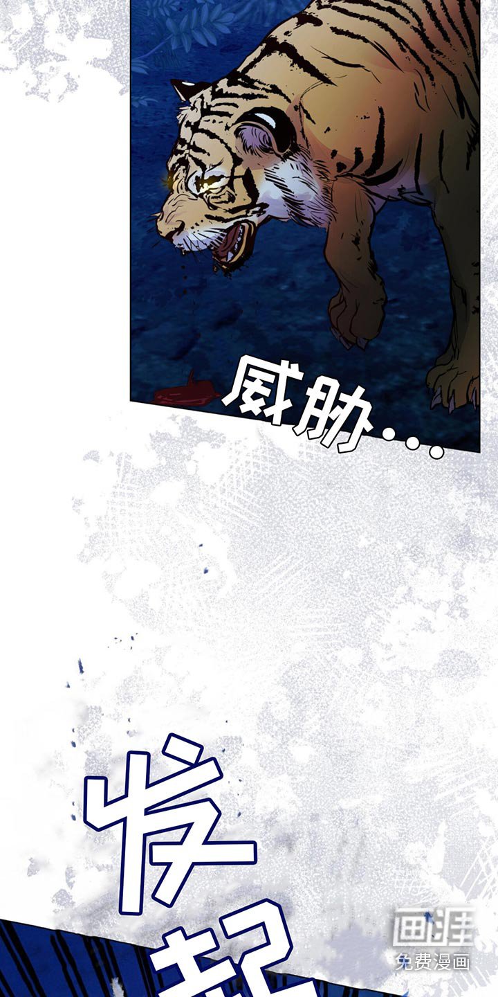 第26章：老虎