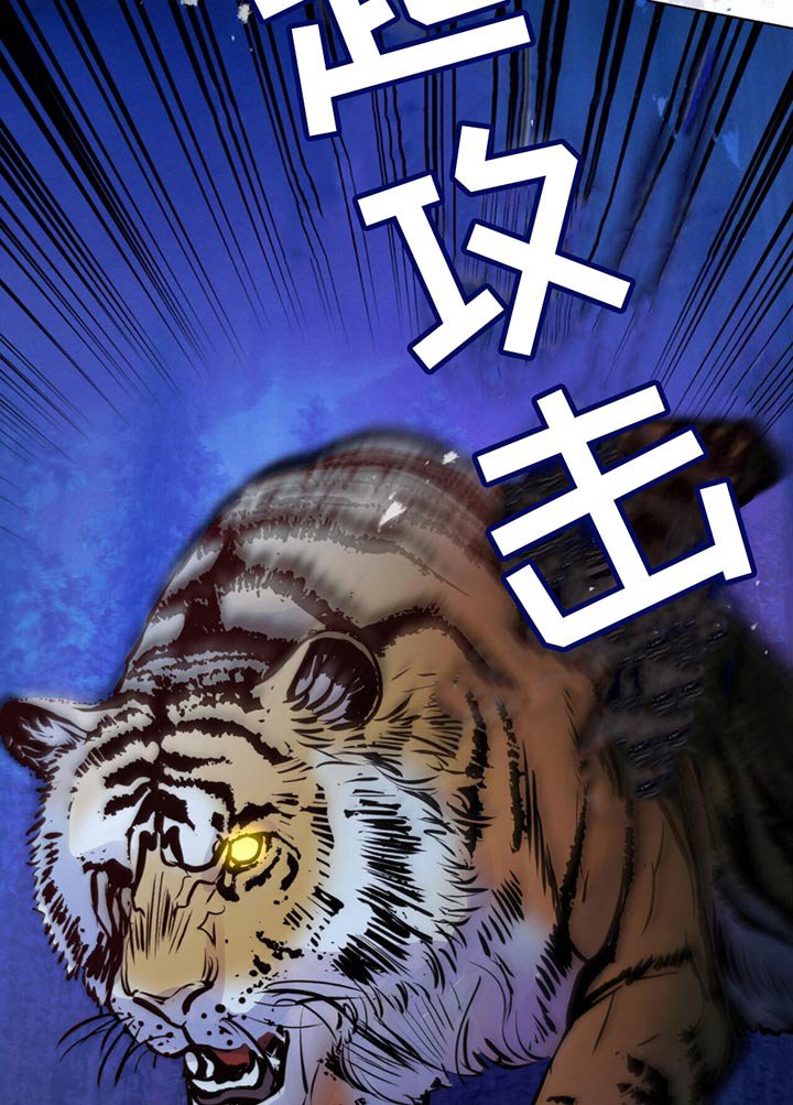 第26章：老虎