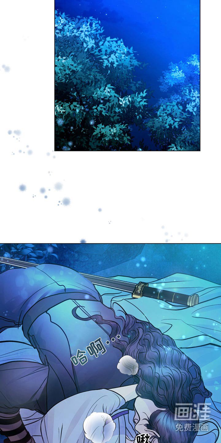 第26章：老虎