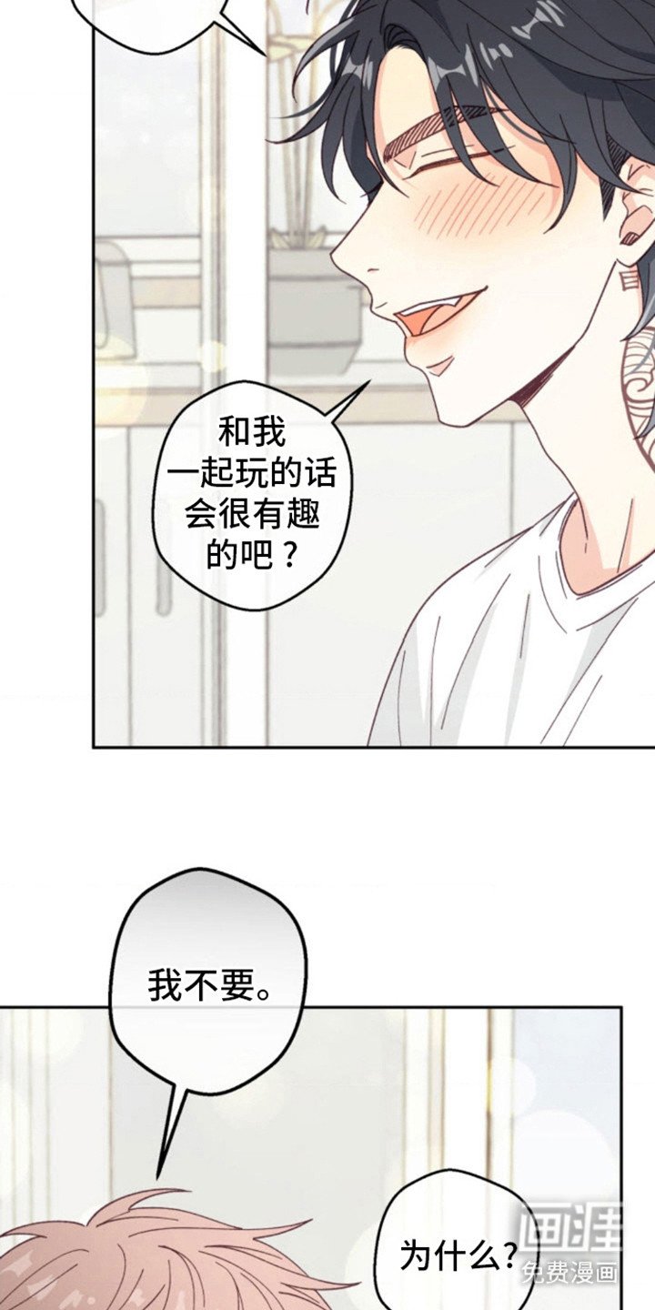 第13章： 厚脸皮