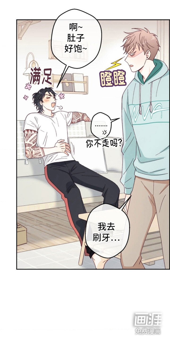 第13章： 厚脸皮