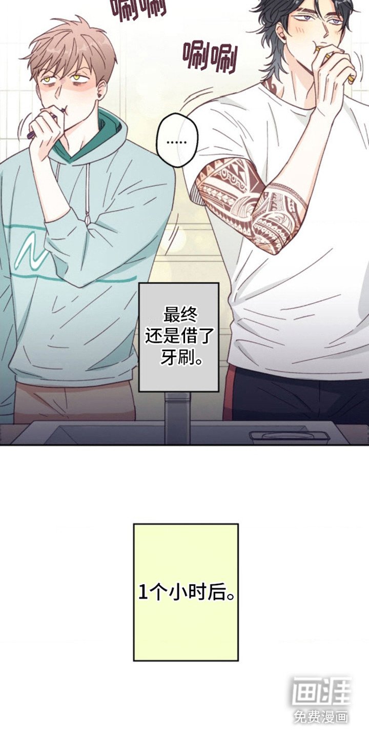 第13章： 厚脸皮