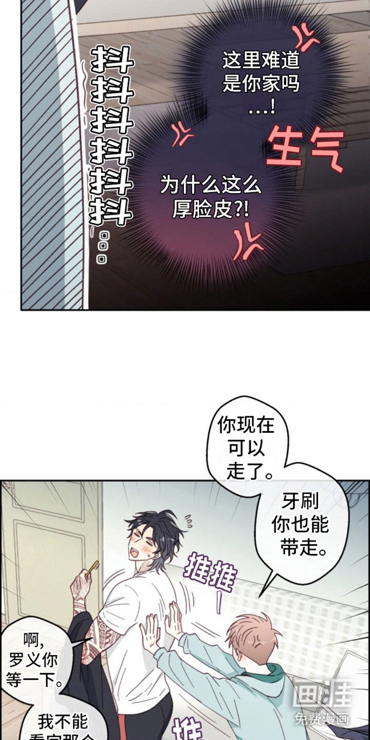 第13章： 厚脸皮