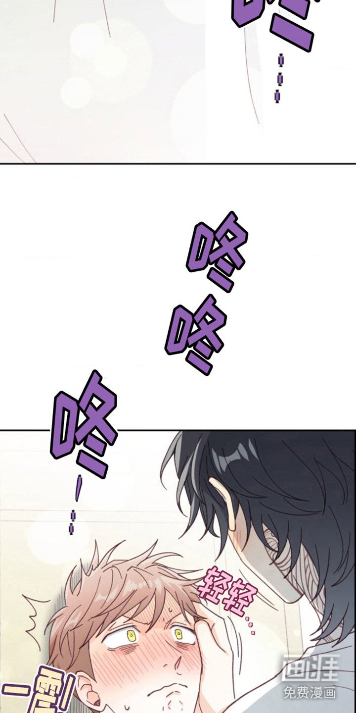 第14章：试试吗 