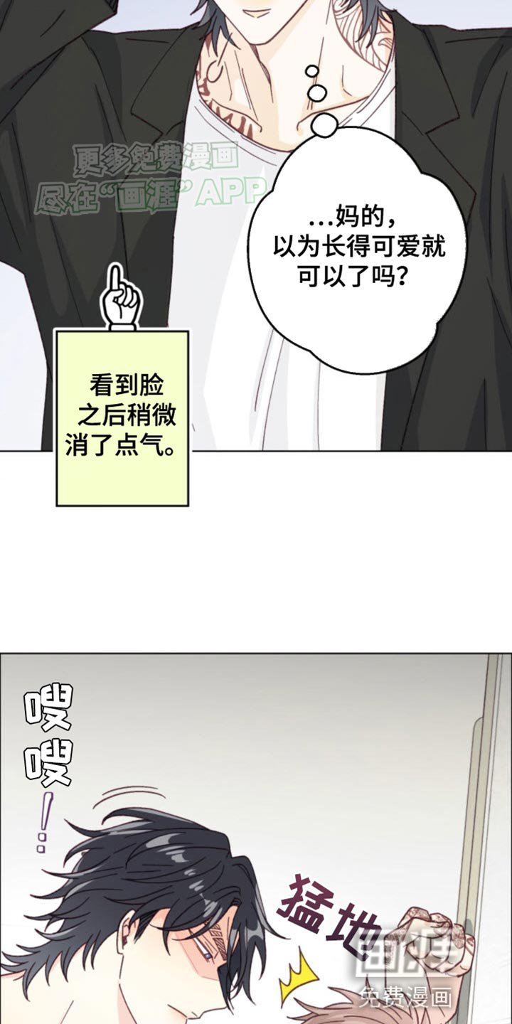第17章：吵架