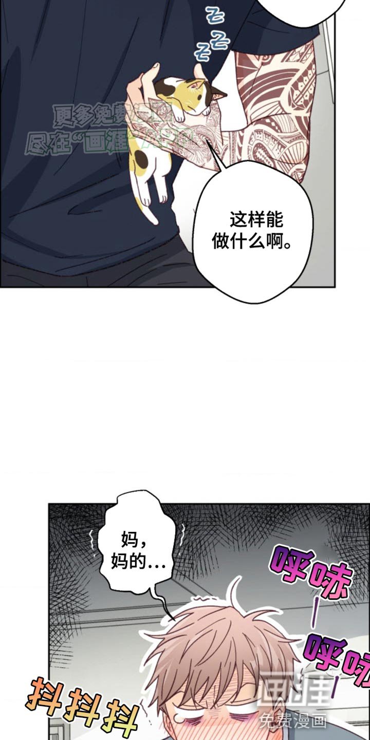 第21章：都是因为你！