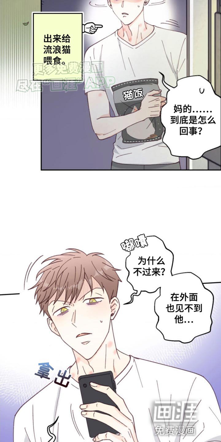 第23章：我赢了