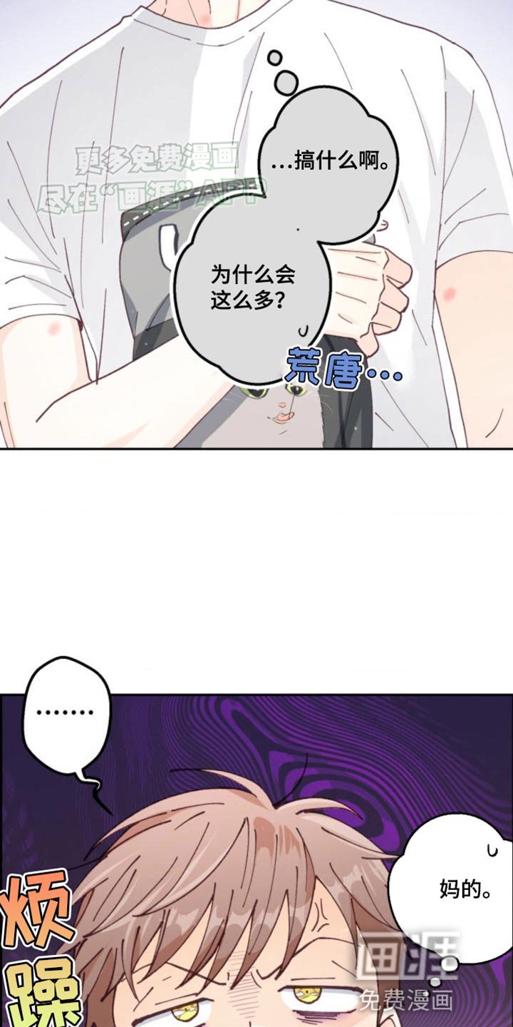 第23章：我赢了