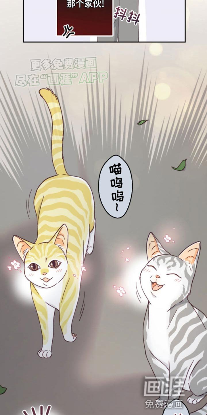 第23章：我赢了