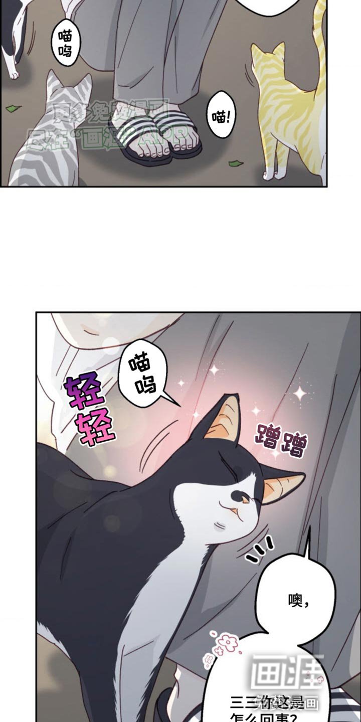 第23章：我赢了