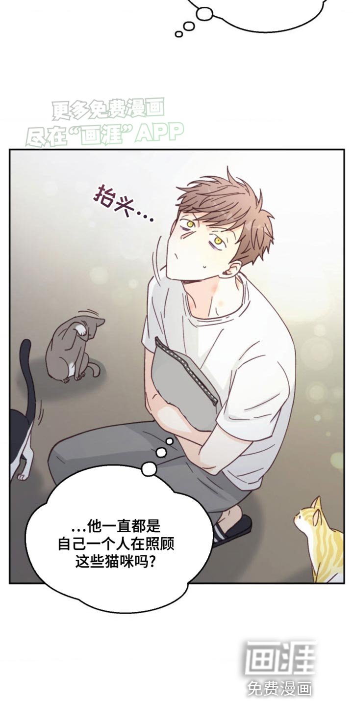 第23章：我赢了