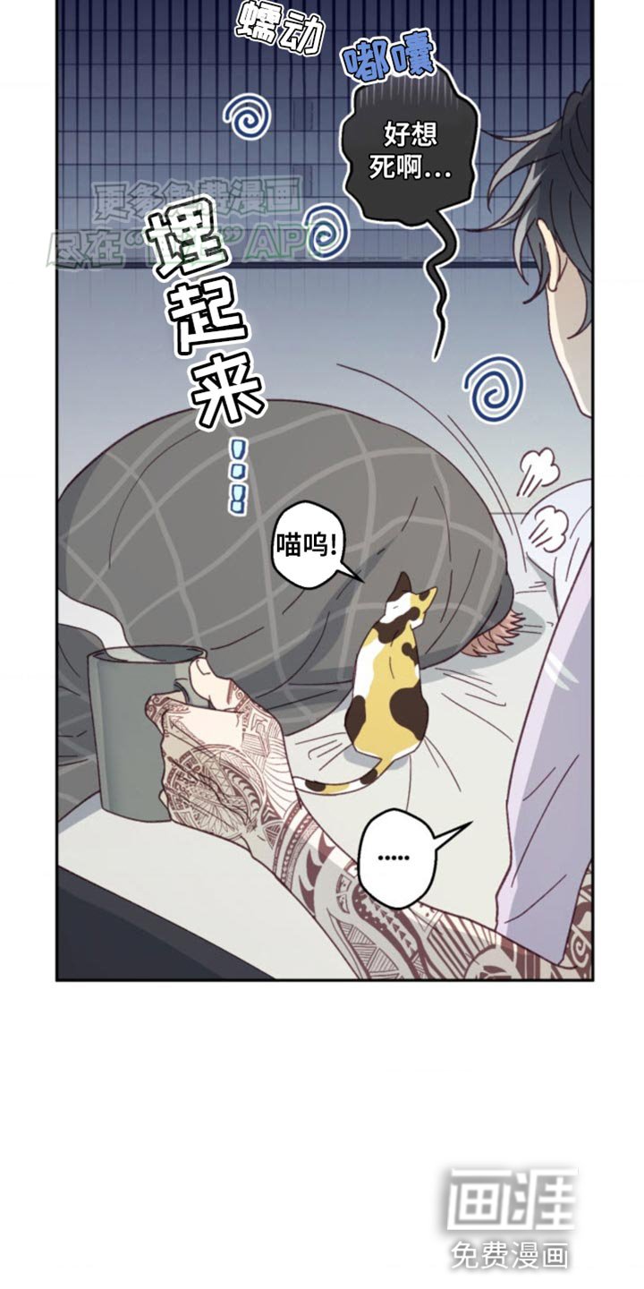 第25章：各自走各自的路