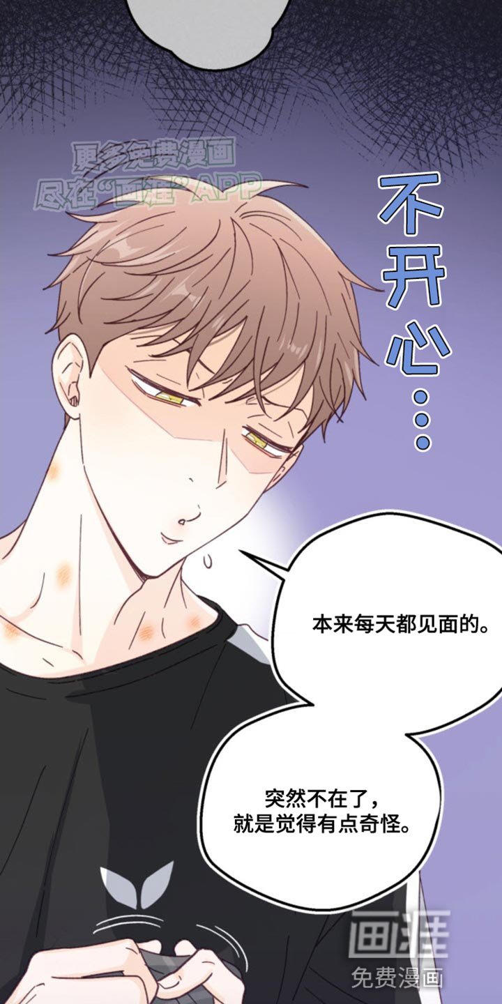 第25章：各自走各自的路