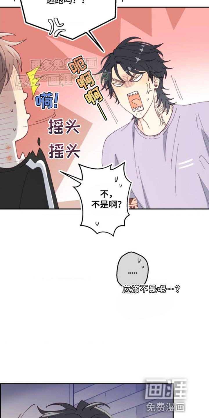 第25章：各自走各自的路