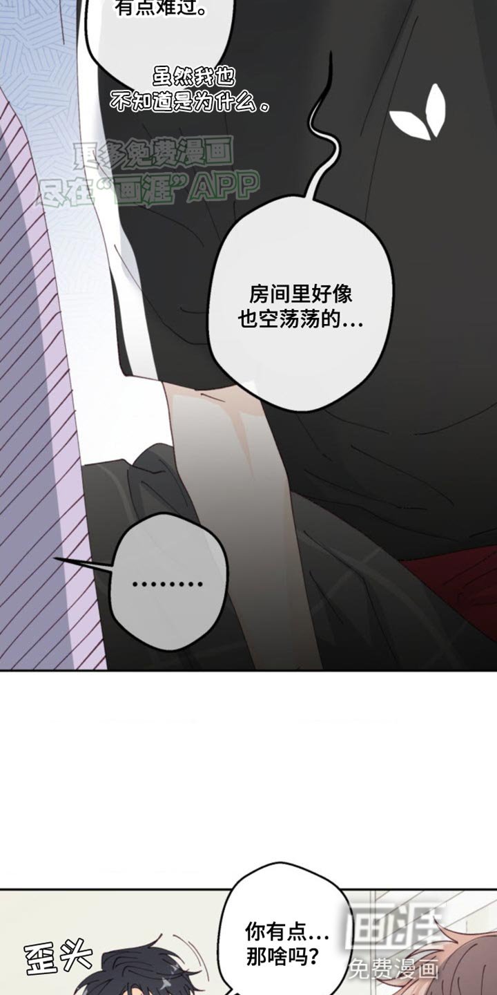 第25章：各自走各自的路