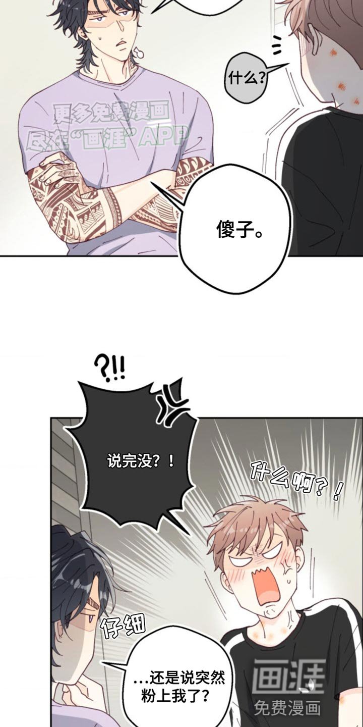 第25章：各自走各自的路