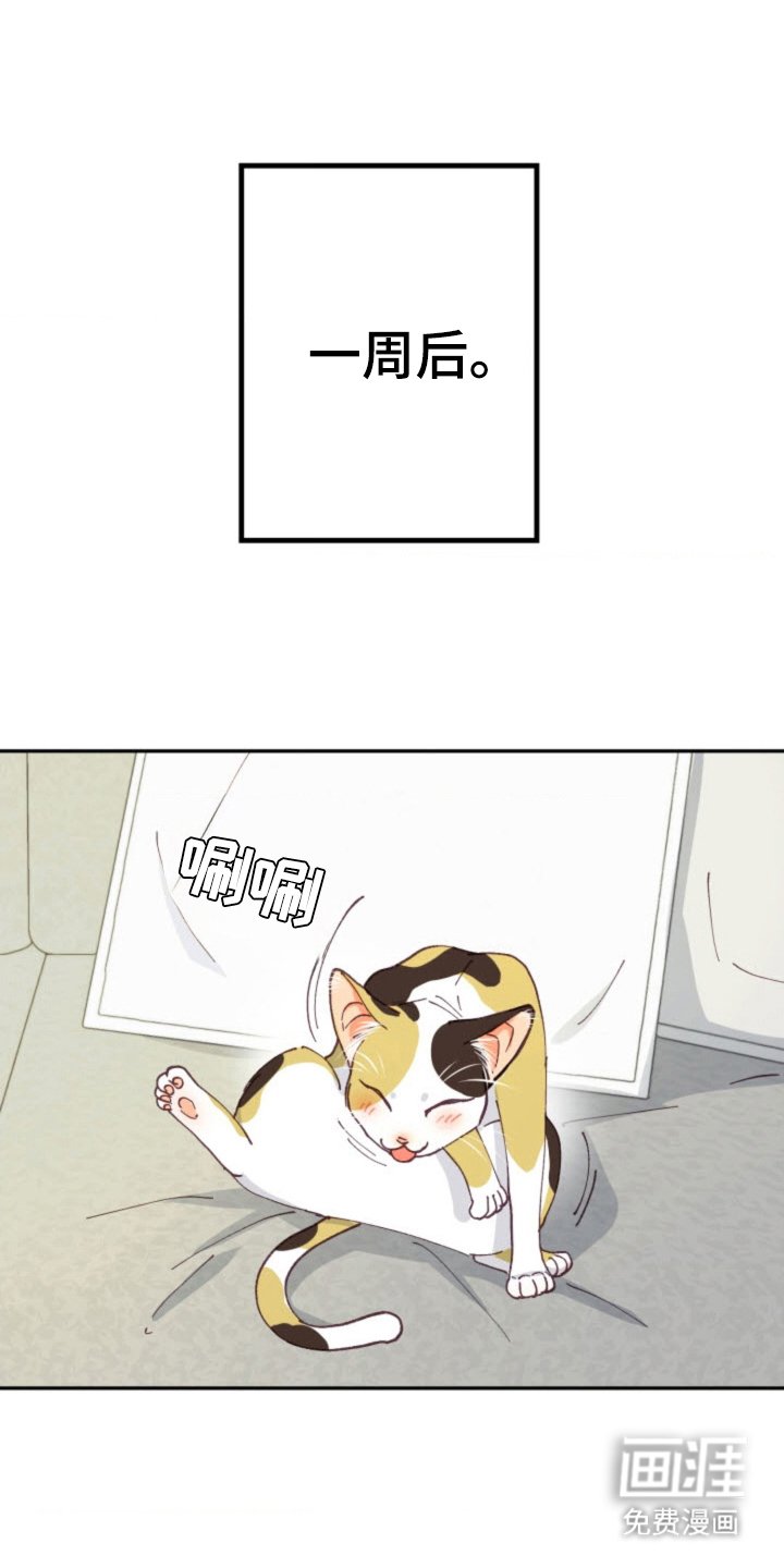 第27章：总会遇见