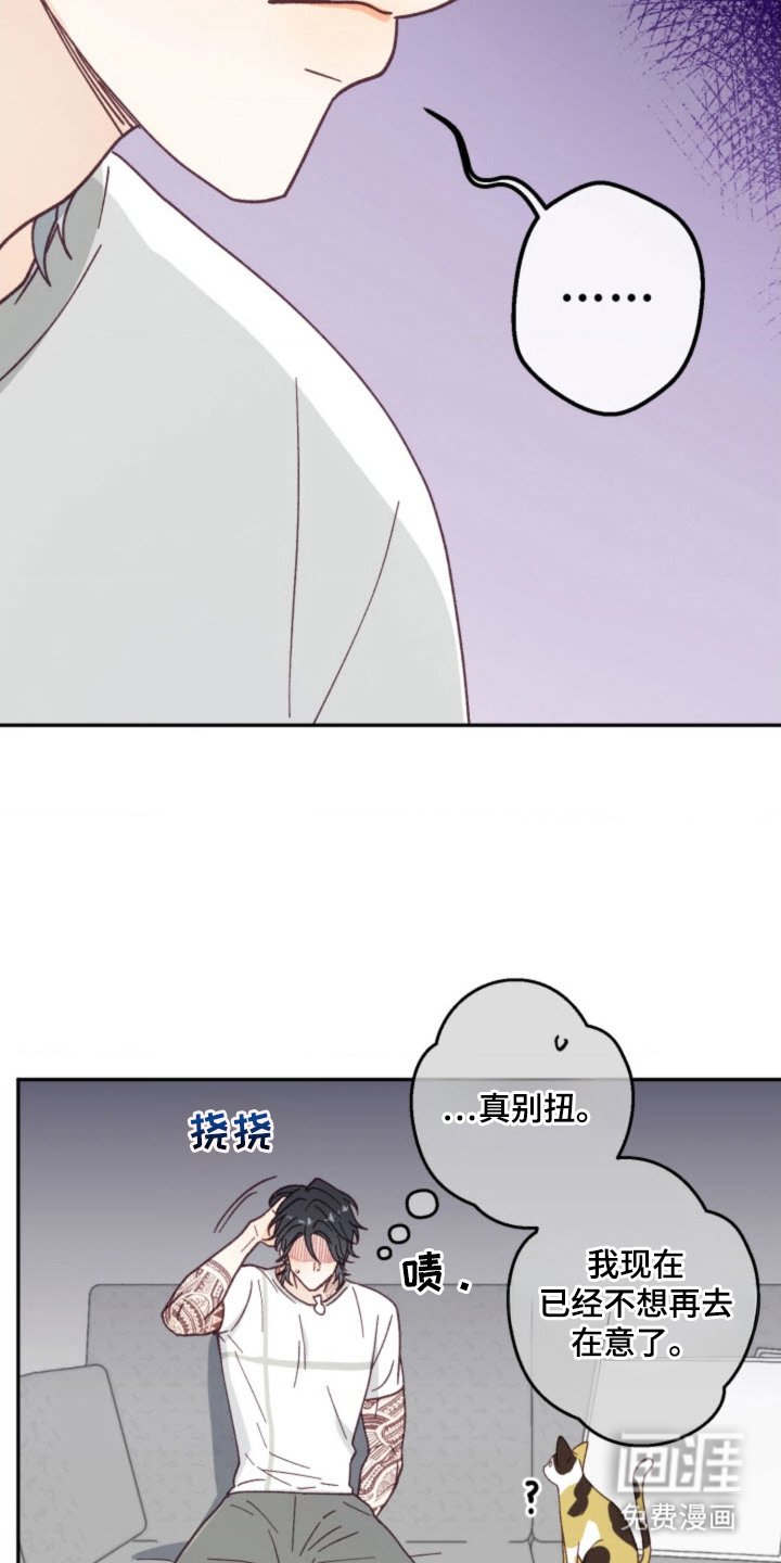 第27章：总会遇见