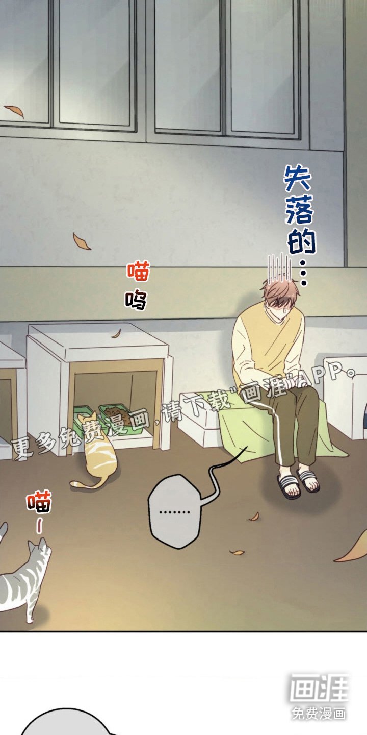 第27章：总会遇见