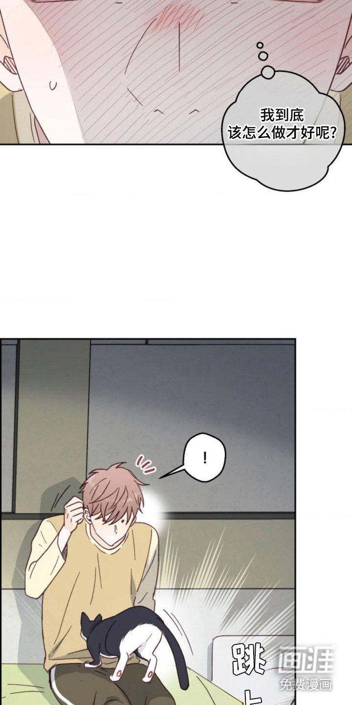 第27章：总会遇见