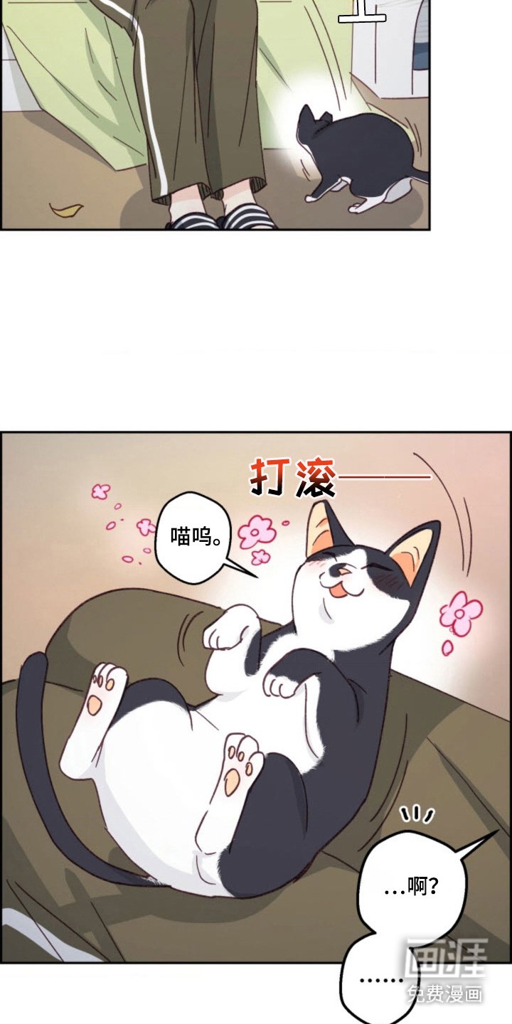 第27章：总会遇见