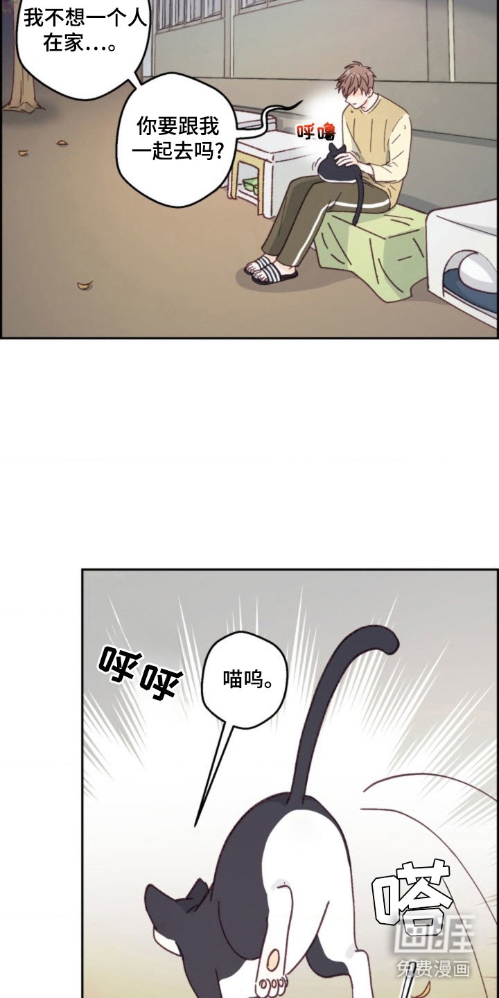 第27章：总会遇见