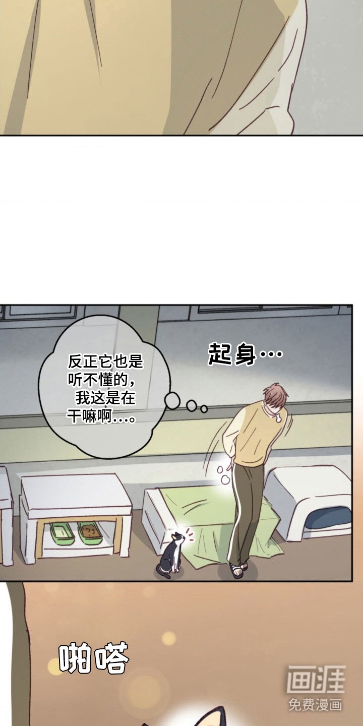 第27章：总会遇见