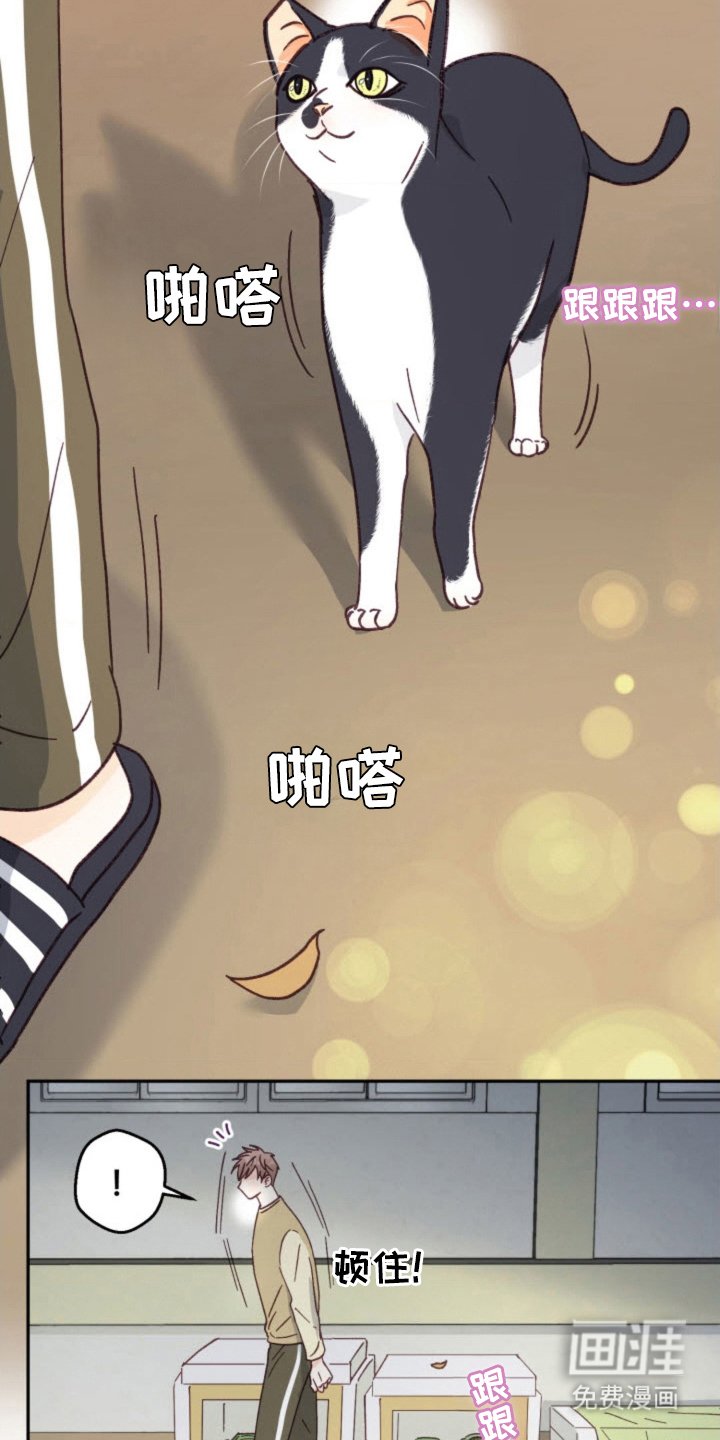 第27章：总会遇见