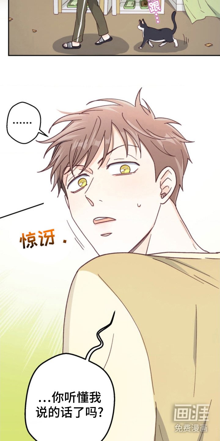 第27章：总会遇见