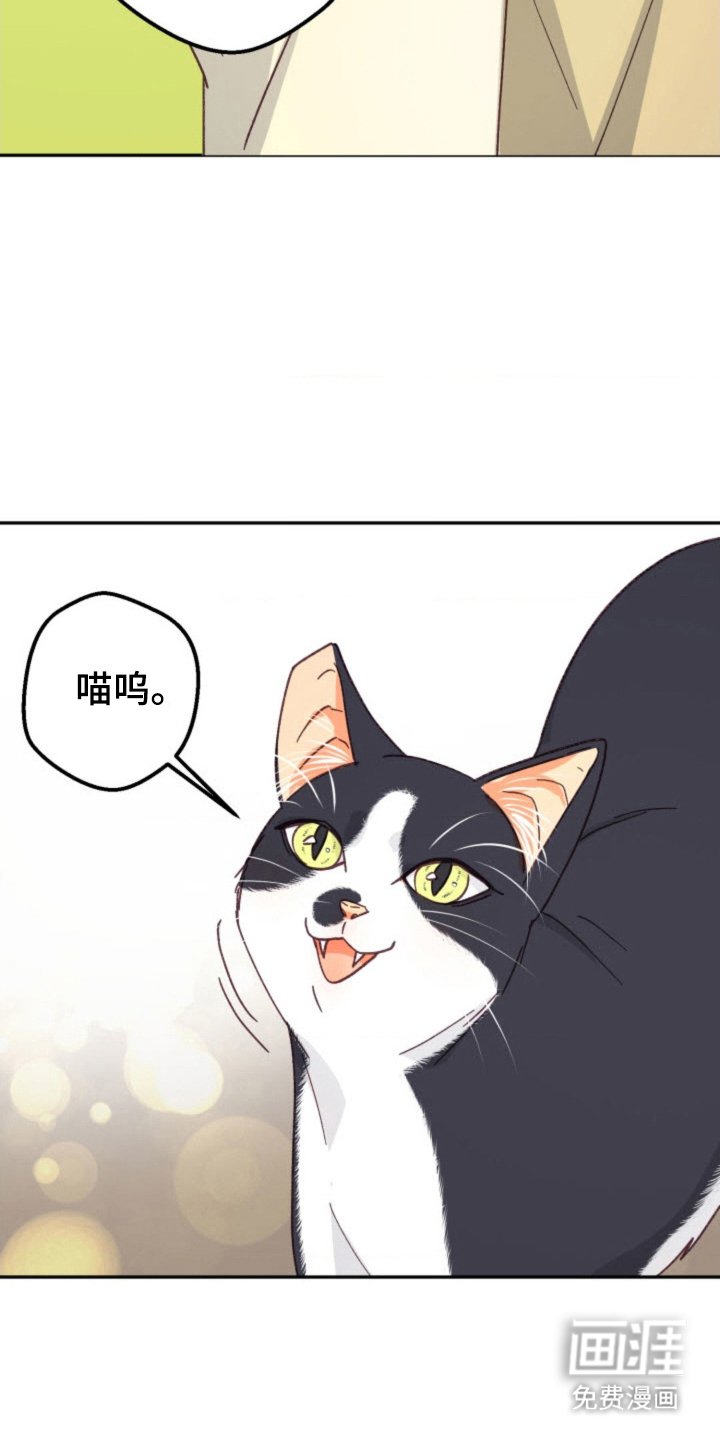 第27章：总会遇见