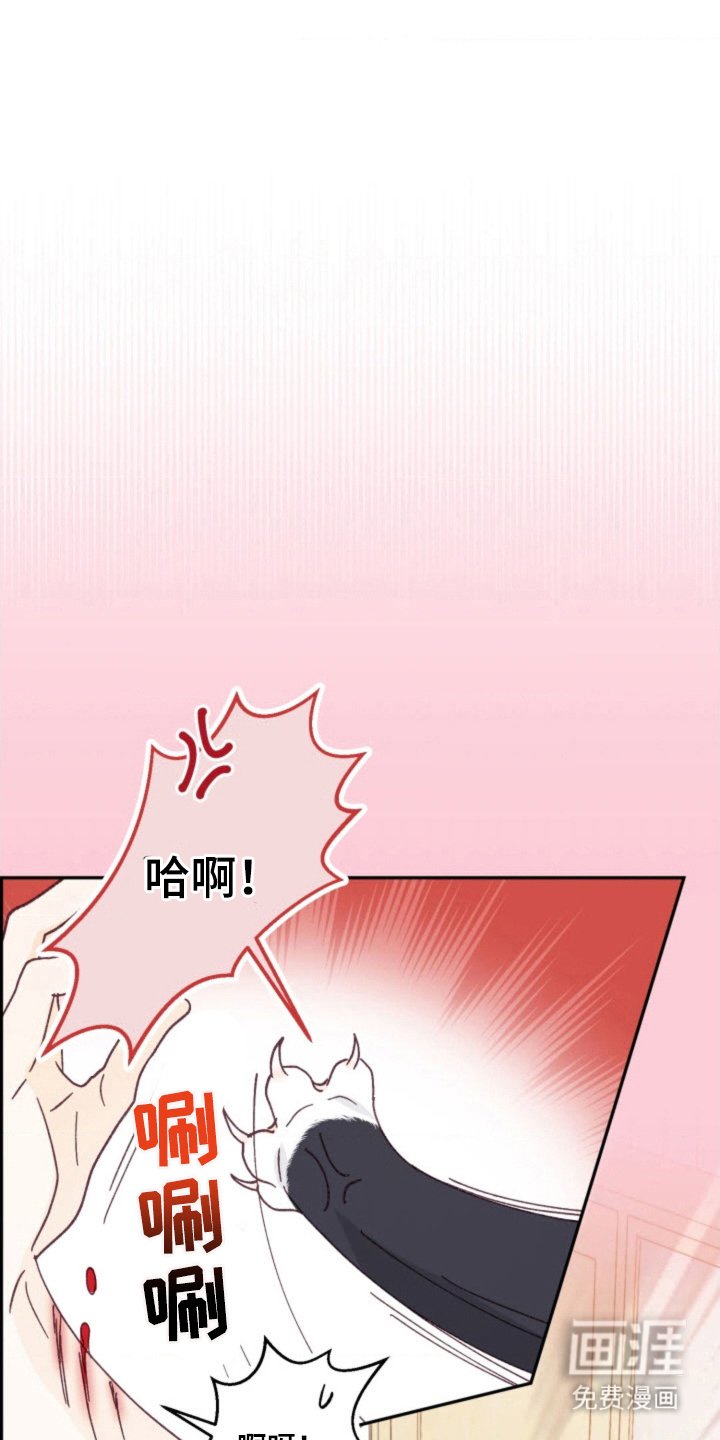 第28章：泪汪汪