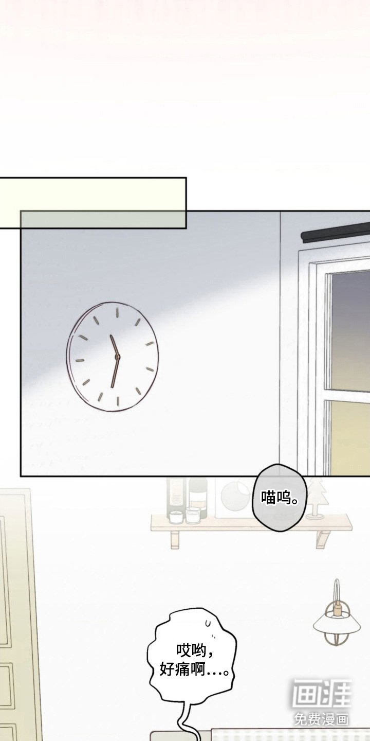 第28章：泪汪汪
