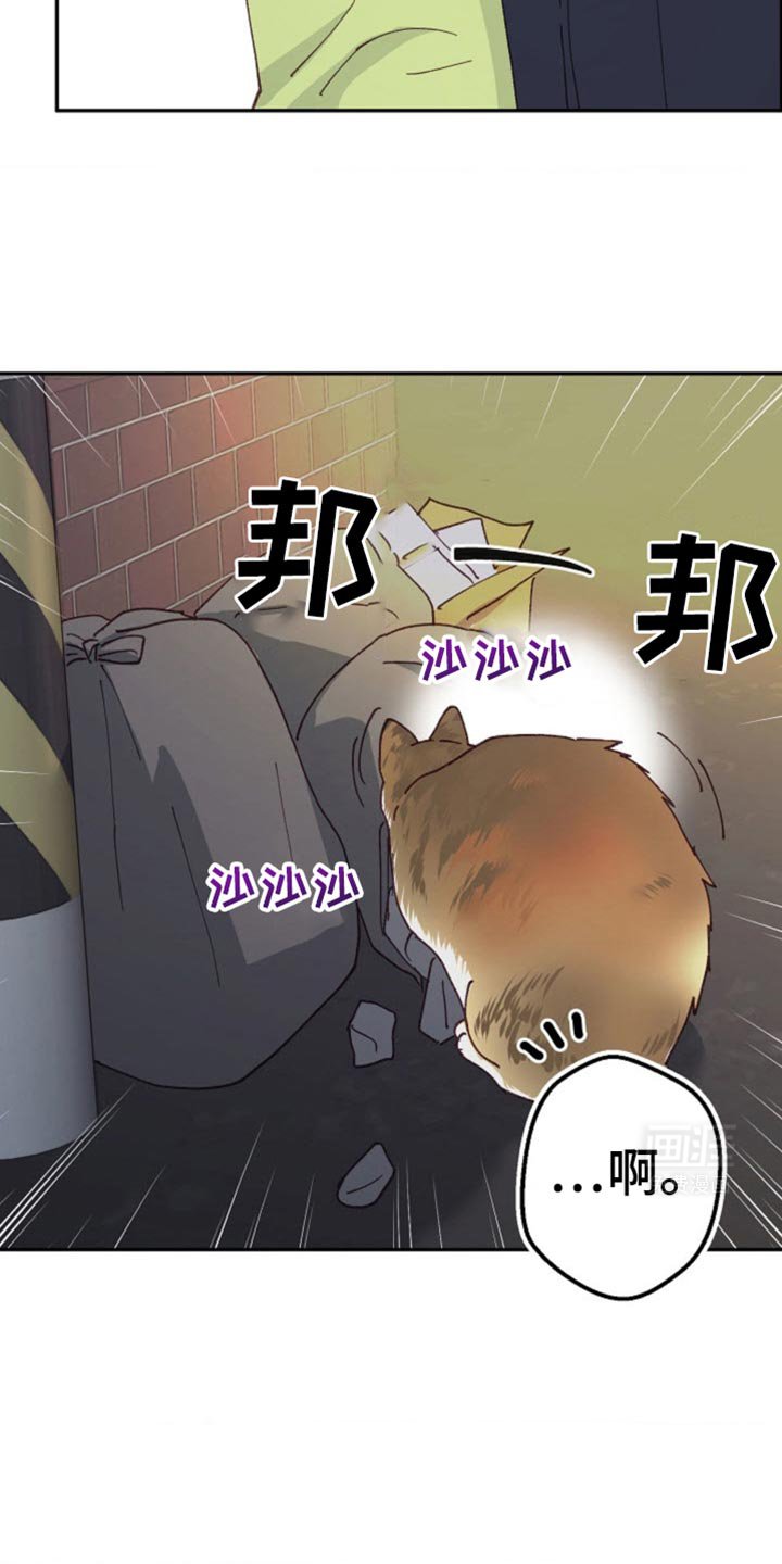 第33章：按错了