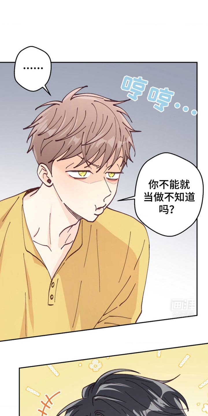 第34章：你是故意的吧