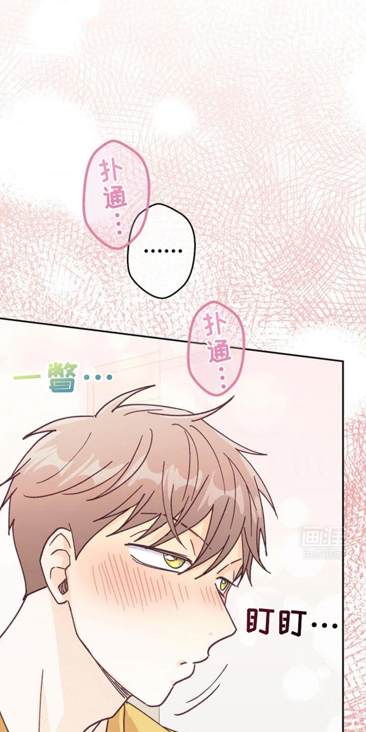 第34章：你是故意的吧