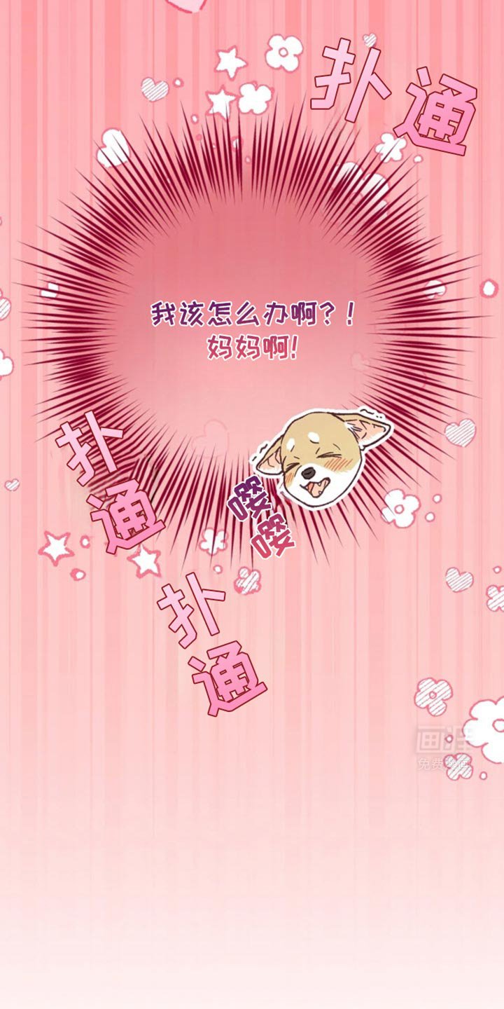 第35章：发消息