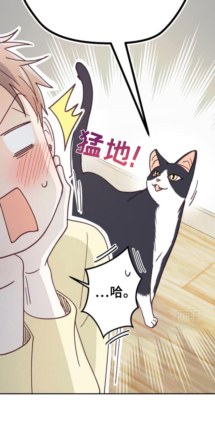 第36章：约会