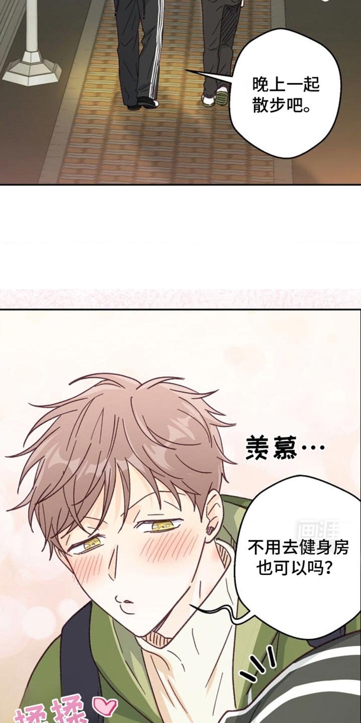 第37章：我又不是要逃跑