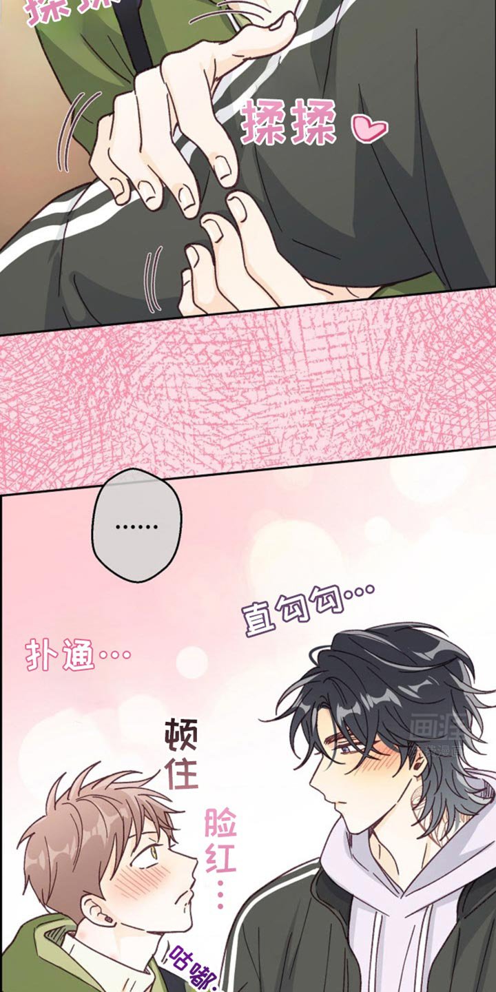 第37章：我又不是要逃跑