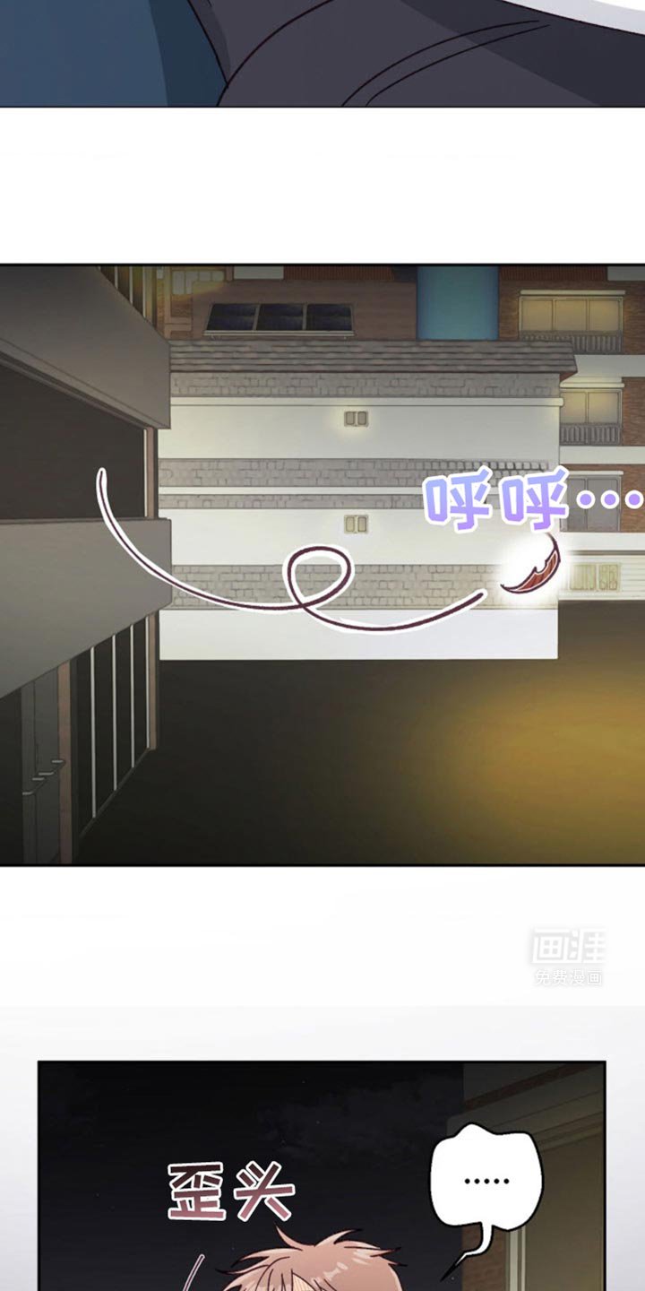 第37章：我又不是要逃跑