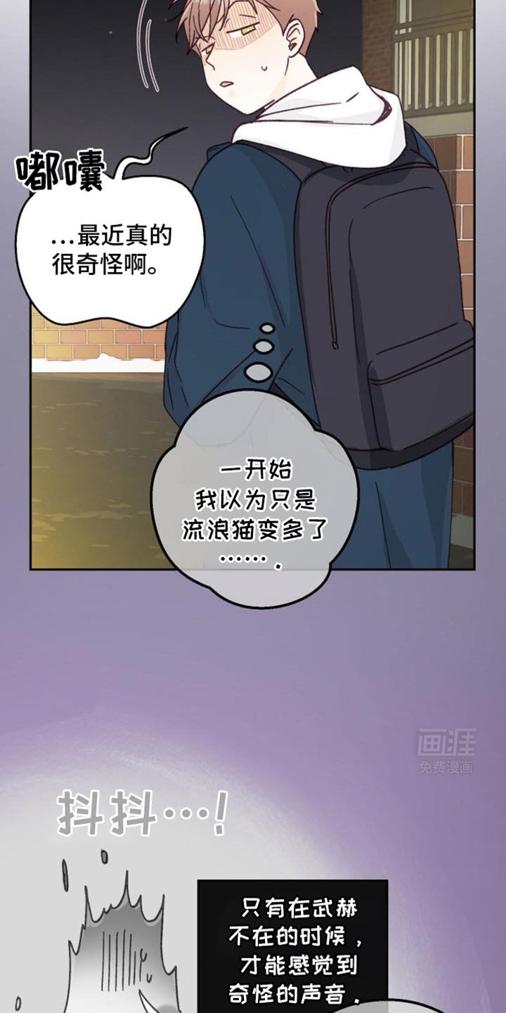第37章：我又不是要逃跑