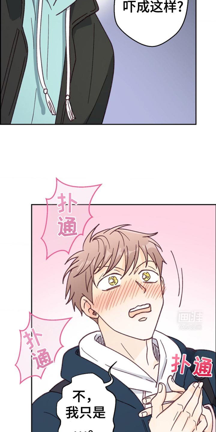 第38章：旅行计划