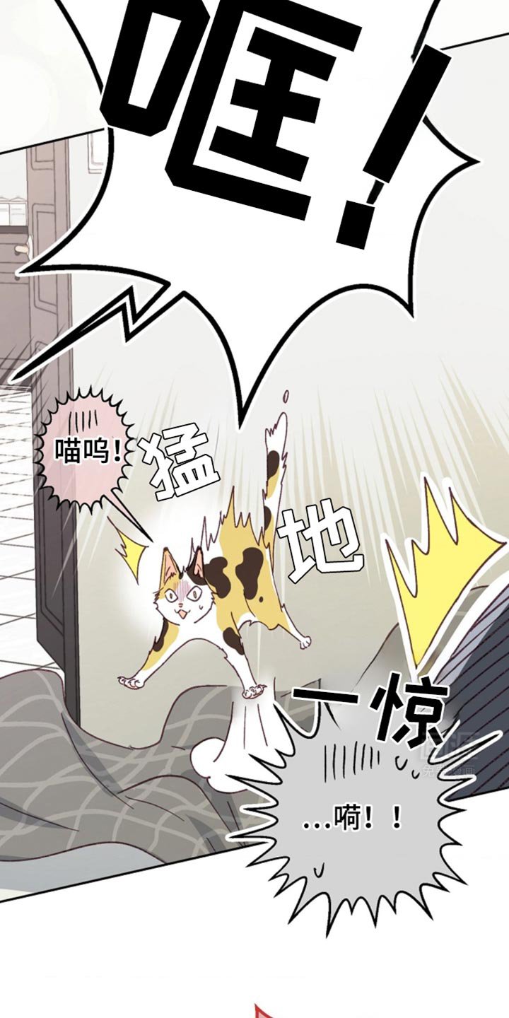 第38章：旅行计划