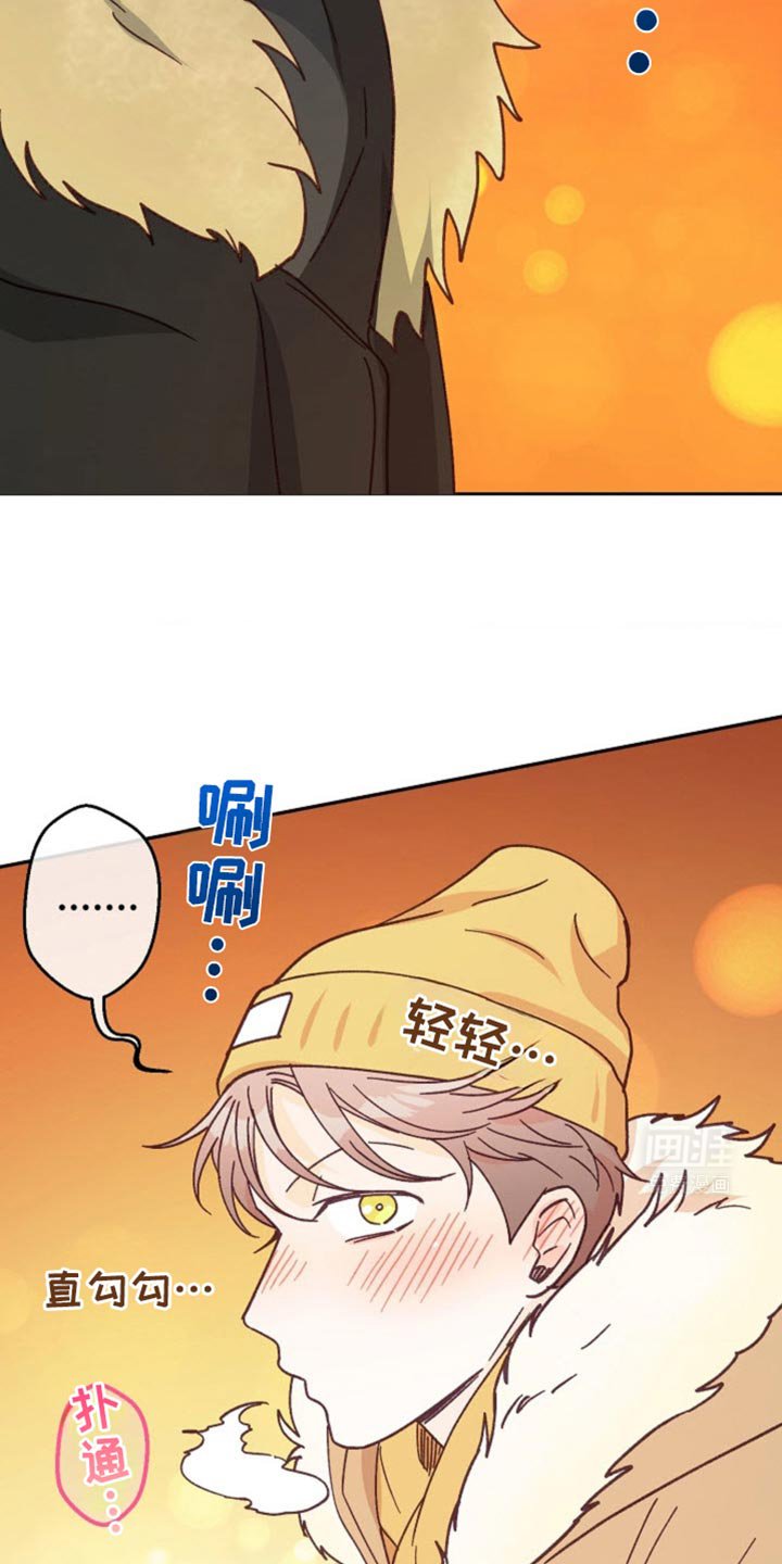 第41章：我们交往吧