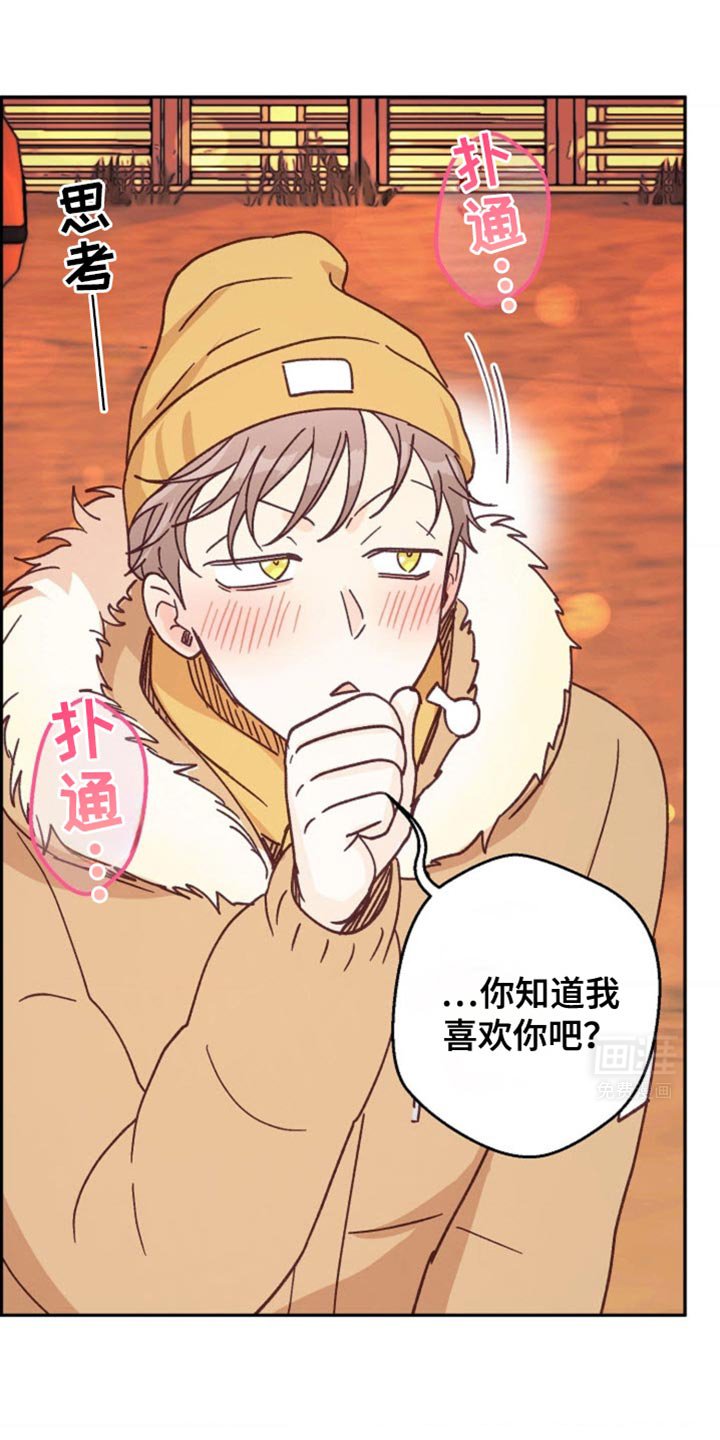 第41章：我们交往吧