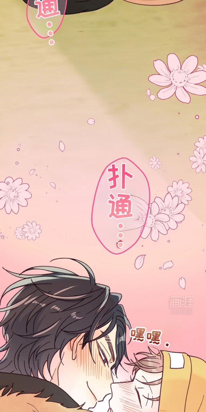 第41章：我们交往吧