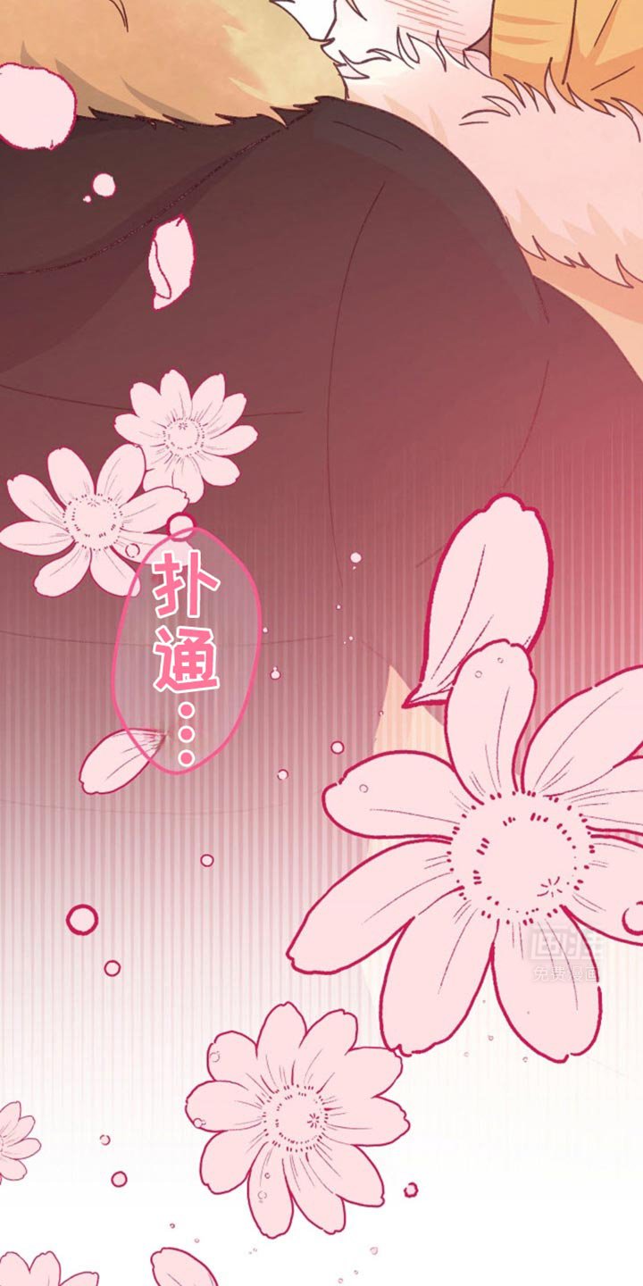 第41章：我们交往吧
